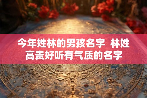 今年姓林的男孩名字  林姓高贵好听有气质的名字