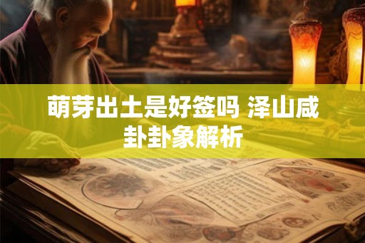 萌芽出土是好签吗 泽山咸卦卦象解析