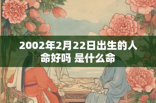 2002年2月22日出生的人命好吗 是什么命