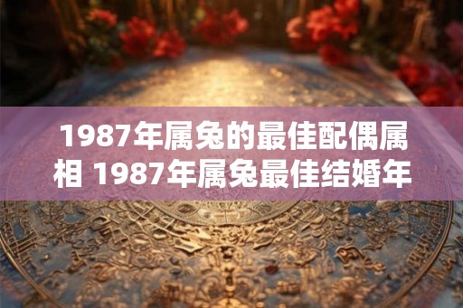 1987年属兔的最佳配偶属相 1987年属兔最佳结婚年龄