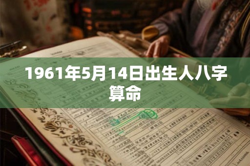 1961年5月14日出生人八字算命