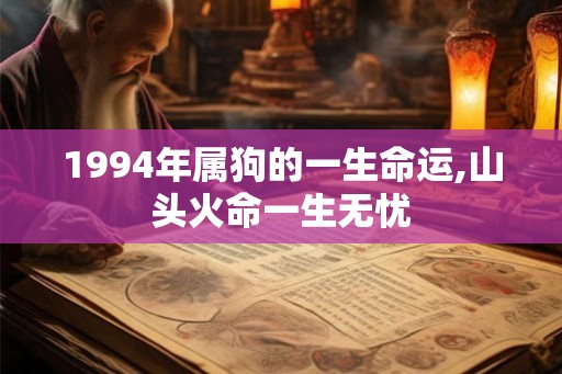 1994年属狗的一生命运,山头火命一生无忧 1994年属狗的一生命运,山头火命一生无忧