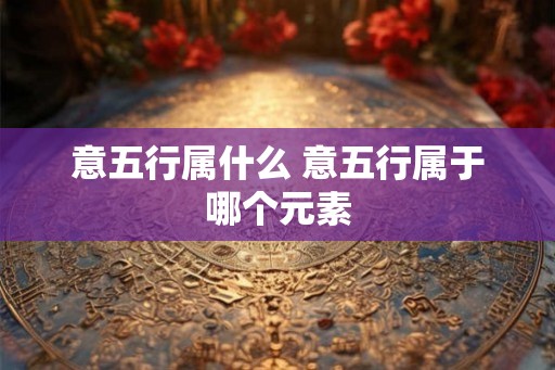 意五行属什么 意五行属于哪个元素