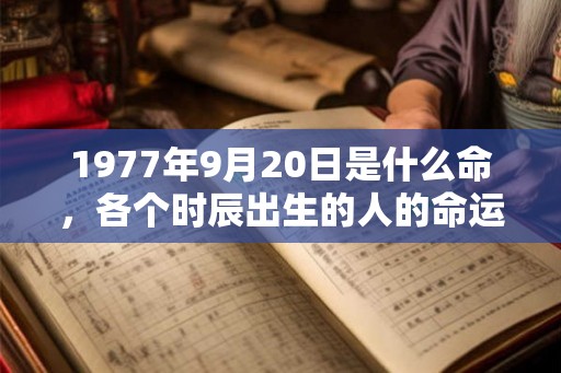 1977年9月20日是什么命，各个时辰出生的人的命运