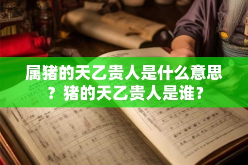 属猪的天乙贵人是什么意思？猪的天乙贵人是谁？