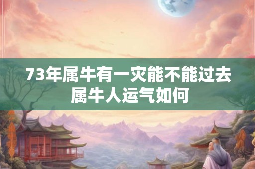 73年属牛有一灾能不能过去 属牛人运气如何