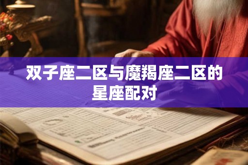 双子座二区与魔羯座二区的星座配对