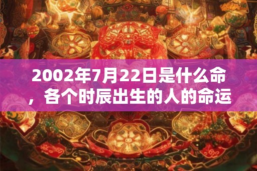 2002年7月22日是什么命,各个时辰出生的人的命运 2002年7月22日是什么命,各个时辰出生的人的命运