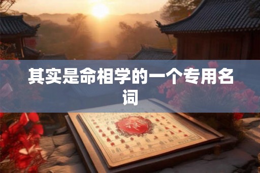 其实是命相学的一个专用名词