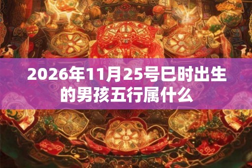 2026年11月25号巳时出生的男孩五行属什么