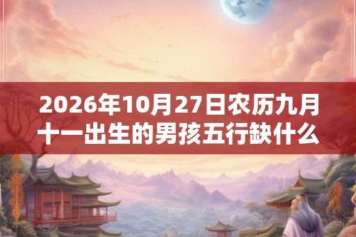 2026年10月27日农历九月十一出生的男孩五行缺什么