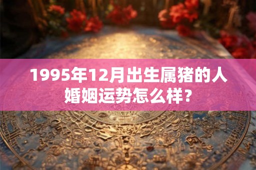 1995年12月出生属猪的人婚姻运势怎么样？