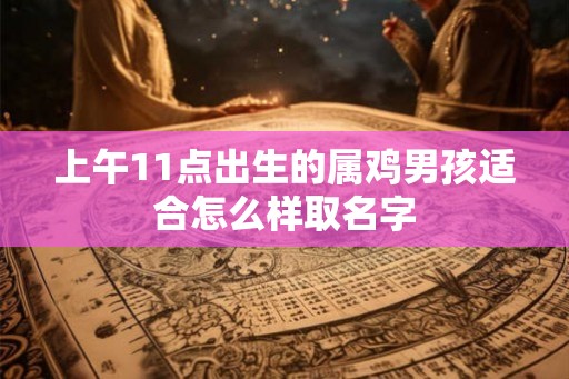 上午11点出生的属鸡男孩适合怎么样取名字