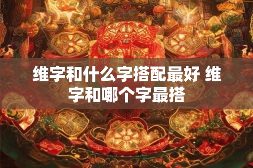 维字和什么字搭配最好 维字和哪个字最搭