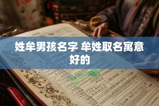 姓牟男孩名字 牟姓取名寓意好的