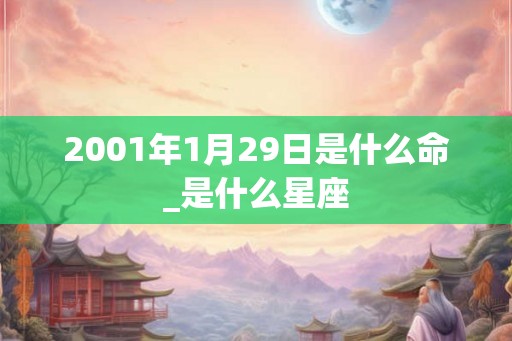 2001年1月29日是什么命_是什么星座