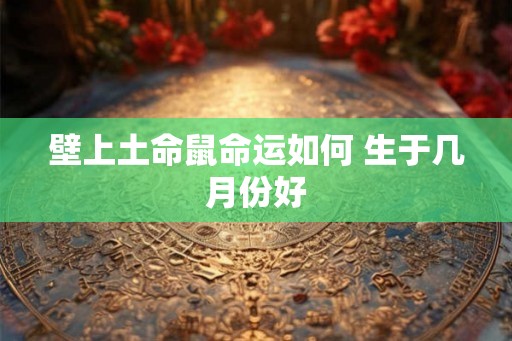 壁上土命鼠命运如何 生于几月份好 壁上土命鼠命运如何 生于几月份好