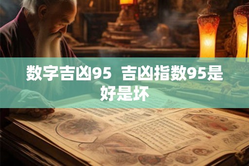 数字吉凶95  吉凶指数95是好是坏