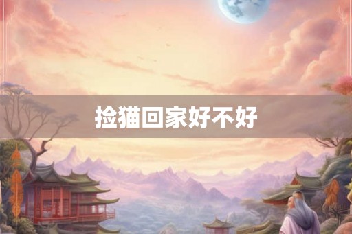 捡猫回家好不好