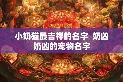 小奶猫最吉祥的名字 奶凶奶凶的宠物名字 小奶猫最吉祥的名字 奶凶奶凶的宠物名字