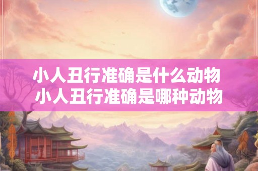 小人丑行准确是什么动物 小人丑行准确是哪种动物
