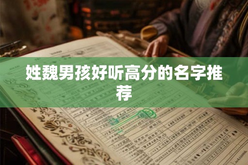 姓魏男孩好听高分的名字推荐