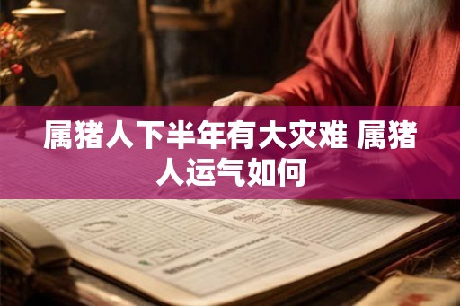 属猪人下半年有大灾难 属猪人运气如何
