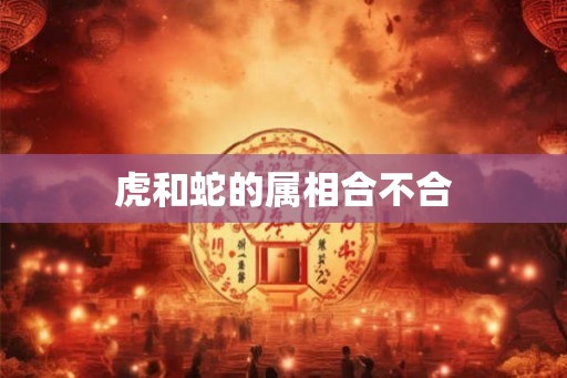 虎和蛇的属相合不合