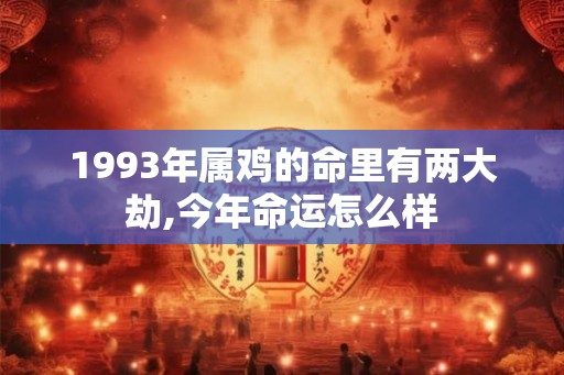 1993年属鸡的命里有两大劫,今年命运怎么样