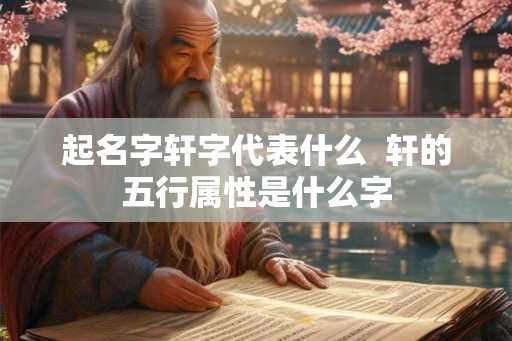 起名字轩字代表什么 轩的五行属性是什么字 起名字轩字代表什么 轩的五行属性是什么字