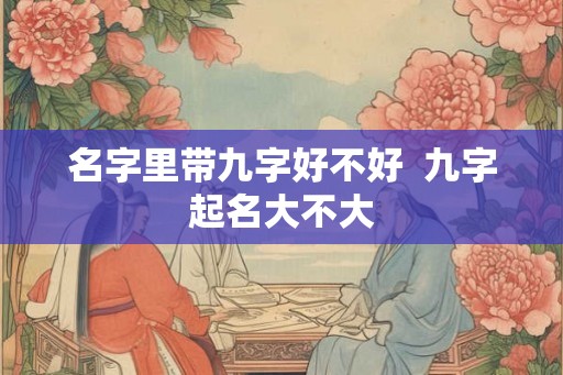 名字里带九字好不好  九字起名大不大