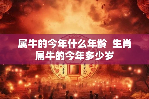 属牛的今年什么年龄  生肖属牛的今年多少岁