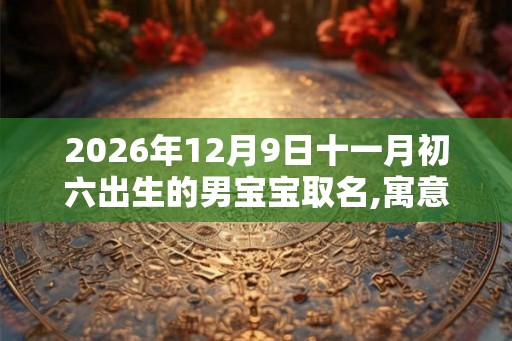 2026年12月9日十一月初六出生的男宝宝取名,寓意有内涵