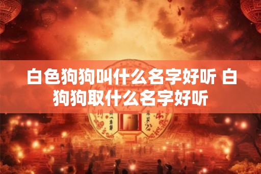 白色狗狗叫什么名字好听 白狗狗取什么名字好听 白色狗狗叫什么名字好听 白狗狗取什么名字好听