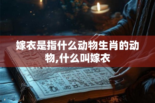 嫁衣是指什么动物生肖的动物,什么叫嫁衣