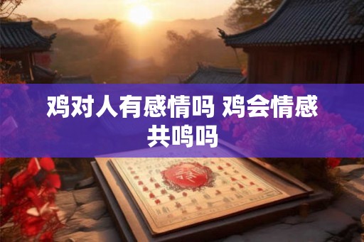 鸡对人有感情吗 鸡会情感共鸣吗 鸡对人有感情吗 鸡会情感共鸣吗