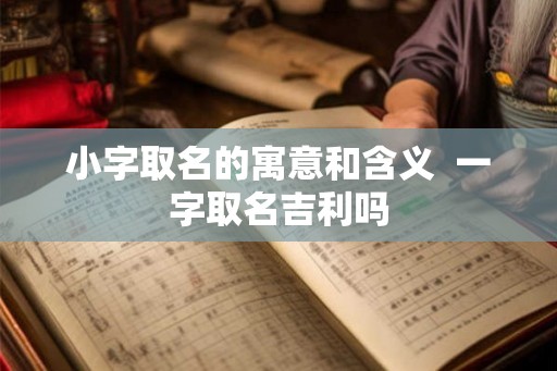 小字取名的寓意和含义  一字取名吉利吗