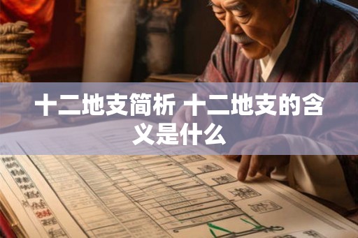 十二地支简析 十二地支的含义是什么 十二地支简析 十二地支的含义是什么