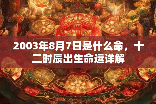 2003年8月7日是什么命，十二时辰出生命运详解