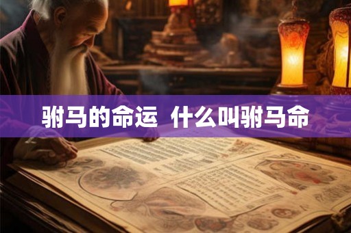 驸马的命运  什么叫驸马命