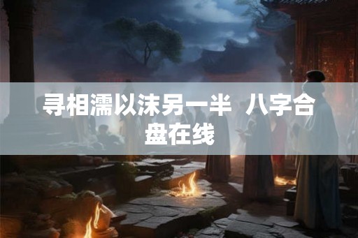 寻相濡以沫另一半  八字合盘在线