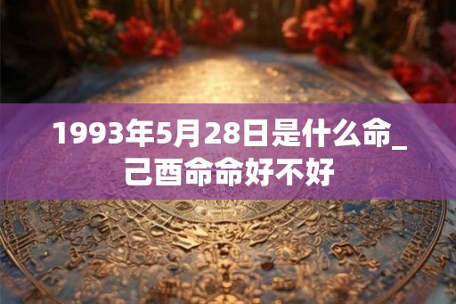1993年5月28日是什么命_己酉命命好不好