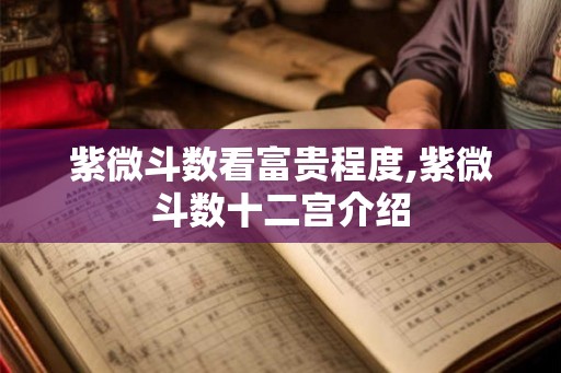 紫微斗数看富贵程度,紫微斗数十二宫介绍