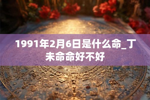 1991年2月6日是什么命_丁未命命好不好