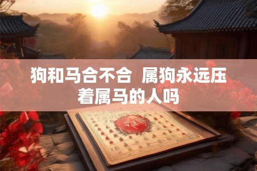 狗和马合不合  属狗永远压着属马的人吗