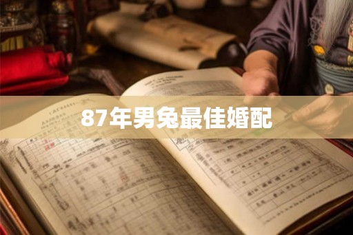 87年男兔最佳婚配