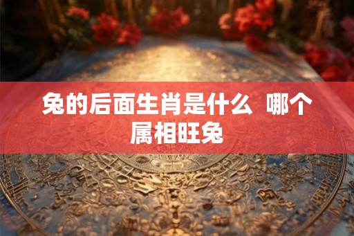 兔的后面生肖是什么  哪个属相旺兔