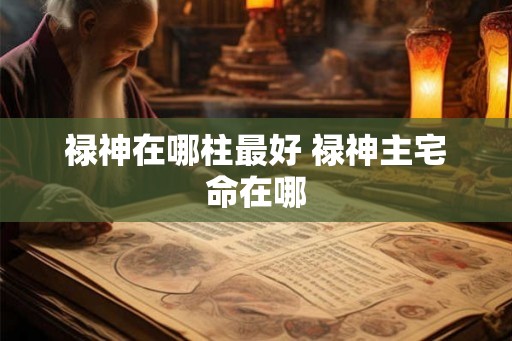 禄神在哪柱最好 禄神主宅命在哪