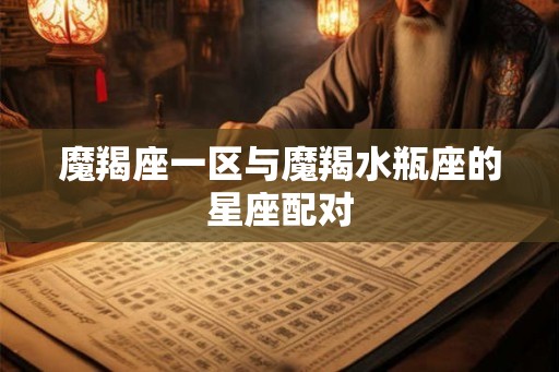 魔羯座一区与魔羯水瓶座的星座配对