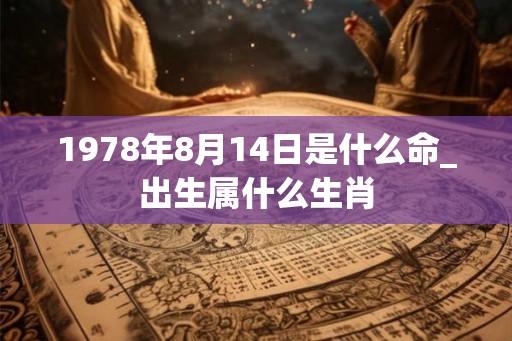 1978年8月14日是什么命_出生属什么生肖